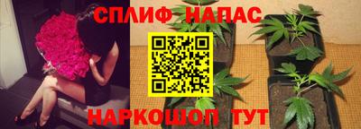 прущие грибы Нягань