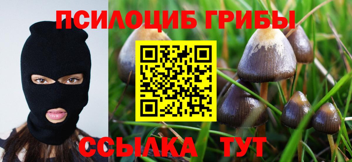 Псилоцибиновые грибы мицелий  Галлюциногенные грибы GOLDEN TEACHER  Тимашёвск  Вход с VPN 